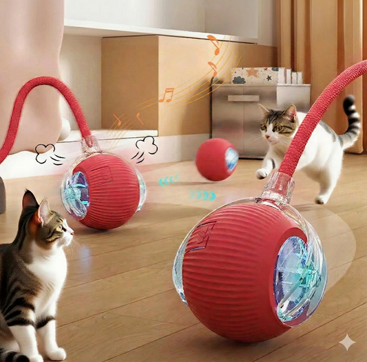 Cyber-Chase 360°™